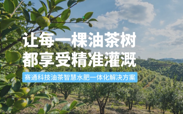 赛通科技油茶z6com官网水肥一体化解决方案：让每一棵油茶树都享受精准灌溉